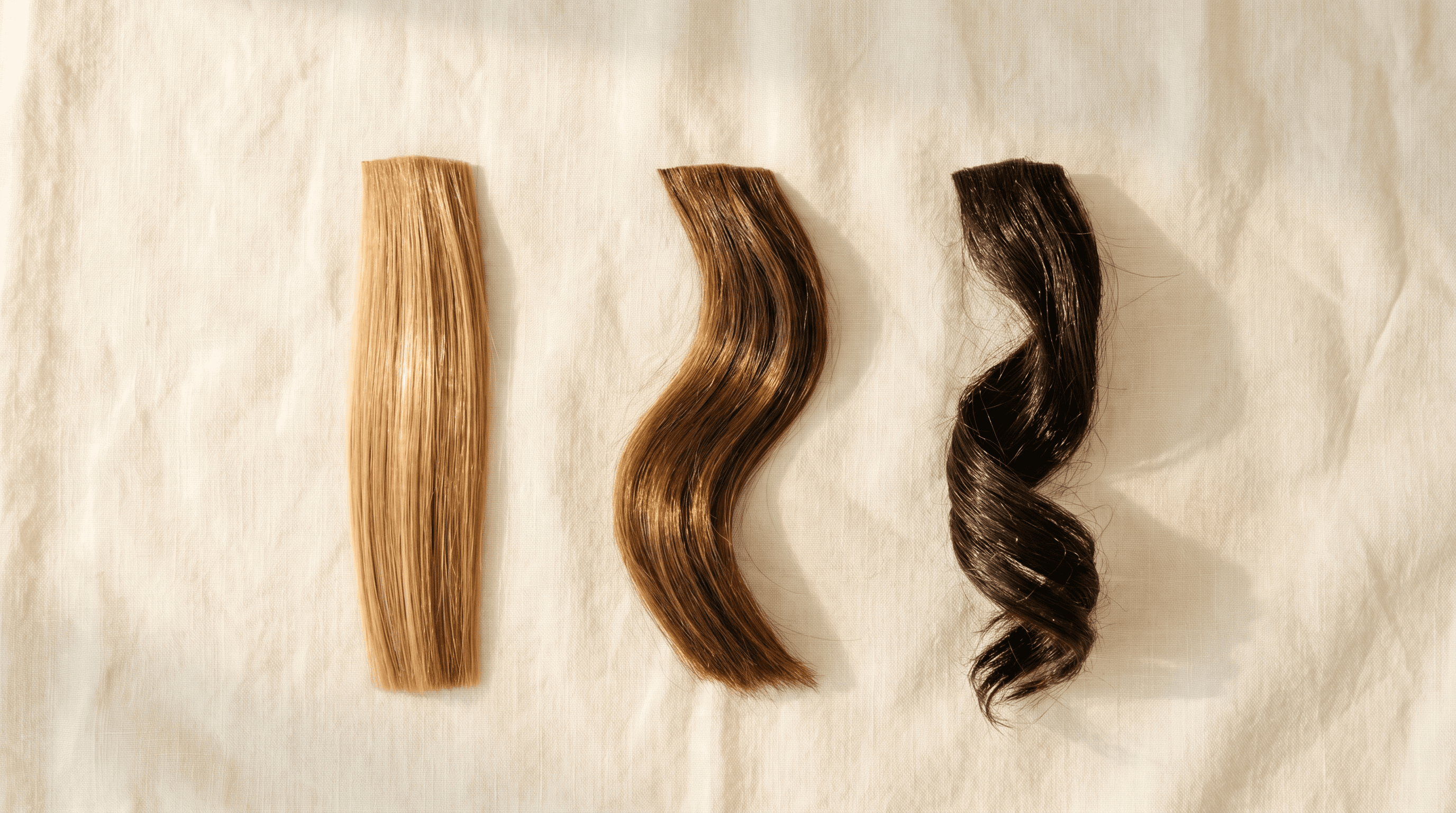 Welches Haaröl für welchen Haartyp wirklich wirkt?